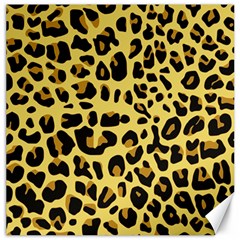 Animal Fur Skin Pattern Form Canvas 12  X 12   by BangZart