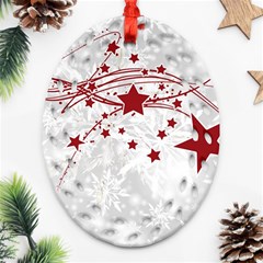 Christmas Star Snowflake Oval Filigree Ornament (two Sides) by BangZart