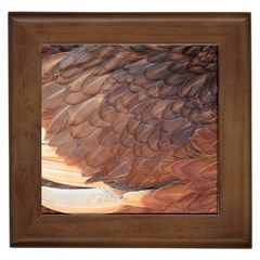 Feather Chicken Close Up Red Framed Tiles by BangZart