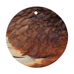 Feather Chicken Close Up Red Ornament (round) by BangZart