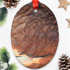 Feather Chicken Close Up Red Ornament (oval) by BangZart