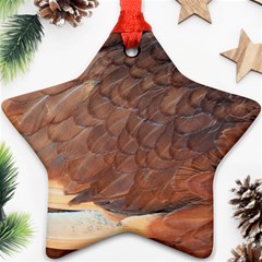 Feather Chicken Close Up Red Ornament (star) by BangZart