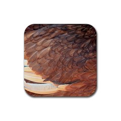 Feather Chicken Close Up Red Rubber Coaster (square)  by BangZart