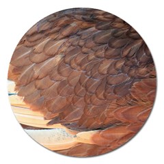 Feather Chicken Close Up Red Magnet 5  (round) by BangZart