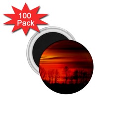 Tree Series Sun Orange Sunset 1 75  Magnets (100 Pack) 