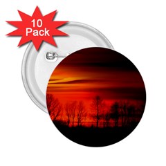 Tree Series Sun Orange Sunset 2 25  Buttons (10 Pack)  by BangZart