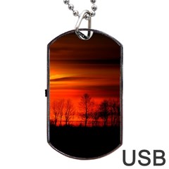 Tree Series Sun Orange Sunset Dog Tag Usb Flash (one Side) by BangZart