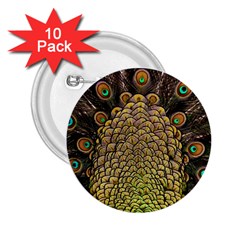 Peacock Feathers Wheel Plumage 2 25  Buttons (10 Pack)  by BangZart