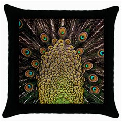 Peacock Feathers Wheel Plumage Throw Pillow Case (black) by BangZart