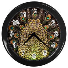 Peacock Feathers Wheel Plumage Wall Clocks (black) by BangZart