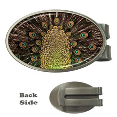 Peacock Feathers Wheel Plumage Money Clips (oval)  by BangZart