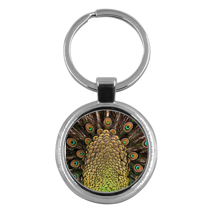 Peacock Feathers Wheel Plumage Key Chains (Round) 