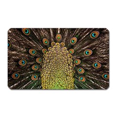 Peacock Feathers Wheel Plumage Magnet (rectangular) by BangZart