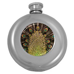 Peacock Feathers Wheel Plumage Round Hip Flask (5 Oz) by BangZart