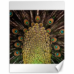 Peacock Feathers Wheel Plumage Canvas 12  X 16   by BangZart