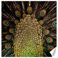 Peacock Feathers Wheel Plumage Canvas 16  X 16   by BangZart