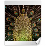 Peacock Feathers Wheel Plumage Canvas 16  x 20   15.75 x19.29  Canvas - 1