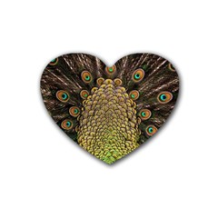 Peacock Feathers Wheel Plumage Heart Coaster (4 Pack)  by BangZart