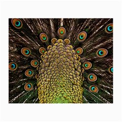 Peacock Feathers Wheel Plumage Small Glasses Cloth (2-side) by BangZart