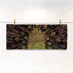 Peacock Feathers Wheel Plumage Cosmetic Storage Cases by BangZart