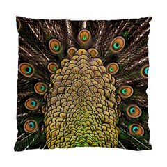 Peacock Feathers Wheel Plumage Standard Cushion Case (one Side) by BangZart