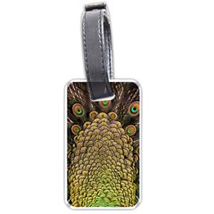 Peacock Feathers Wheel Plumage Luggage Tags (one Side)  by BangZart