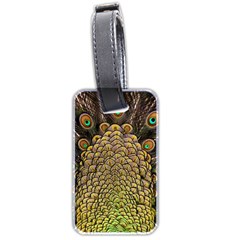 Peacock Feathers Wheel Plumage Luggage Tags (two Sides) by BangZart