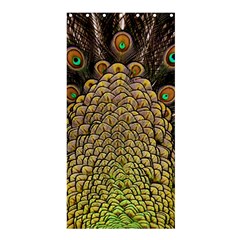 Peacock Feathers Wheel Plumage Shower Curtain 36  X 72  (stall)  by BangZart