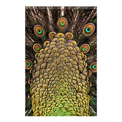 Peacock Feathers Wheel Plumage Shower Curtain 48  X 72  (small)  by BangZart