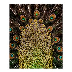 Peacock Feathers Wheel Plumage Shower Curtain 60  X 72  (medium)  by BangZart