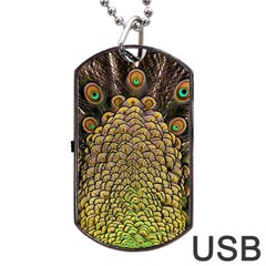 Peacock Feathers Wheel Plumage Dog Tag Usb Flash (two Sides) by BangZart