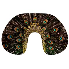 Peacock Feathers Wheel Plumage Travel Neck Pillows by BangZart