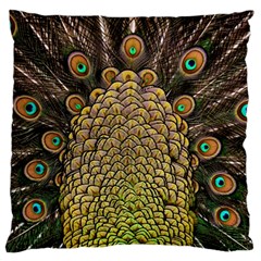 Peacock Feathers Wheel Plumage Standard Flano Cushion Case (one Side) by BangZart