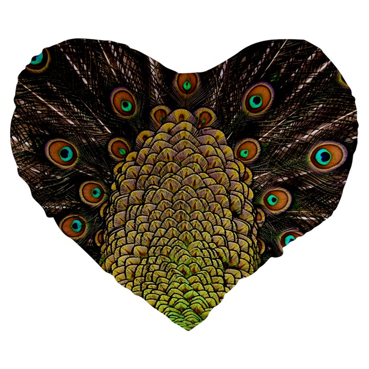 Peacock Feathers Wheel Plumage Large 19  Premium Flano Heart Shape Cushions