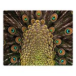 Peacock Feathers Wheel Plumage Double Sided Flano Blanket (Large)  80 x60  Blanket Front