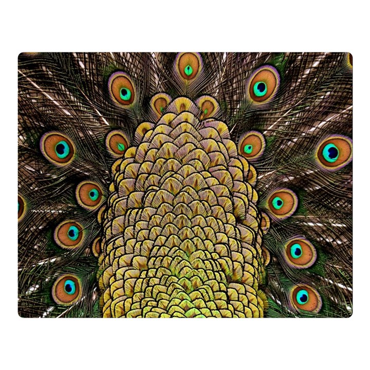 Peacock Feathers Wheel Plumage Double Sided Flano Blanket (Large) 