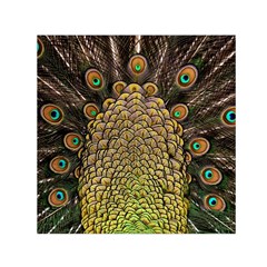 Peacock Feathers Wheel Plumage Small Satin Scarf (square) by BangZart