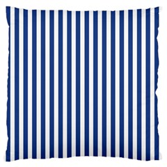 Blue Stripes Large Flano Cushion Case (two Sides) by jumpercat