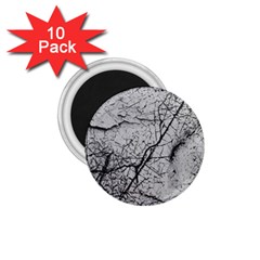 Abstract Background Texture Grey 1 75  Magnets (10 Pack)  by BangZart