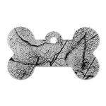 Abstract Background Texture Grey Dog Tag Bone (One Side) Front