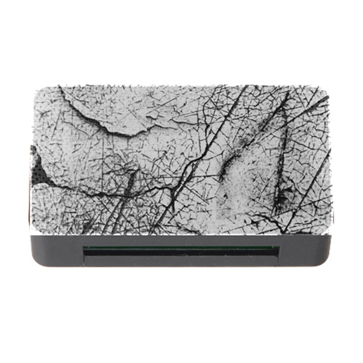 Abstract Background Texture Grey Memory Card Reader with CF