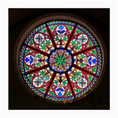 Church Window Window Rosette Medium Glasses Cloth by BangZart