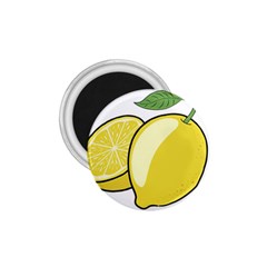 Lemon Fruit Green Yellow Citrus 1 75  Magnets by BangZart