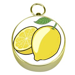 Lemon Fruit Green Yellow Citrus Gold Compasses by BangZart