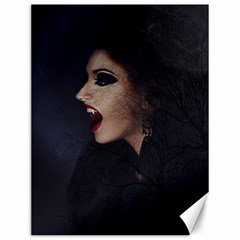 Vampire Woman Vampire Lady Canvas 12  x 16  