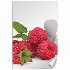 Fruit Healthy Vitamin Vegan Canvas 24  X 36  by BangZart