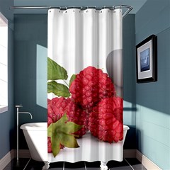 Fruit Healthy Vitamin Vegan Shower Curtain 36  X 72  (stall)  by BangZart