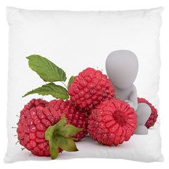 Fruit Healthy Vitamin Vegan Standard Flano Cushion Case (two Sides) by BangZart