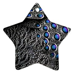 Feather Bird Bird Feather Nature Ornament (star) by BangZart