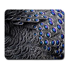 Feather Bird Bird Feather Nature Large Mousepads by BangZart